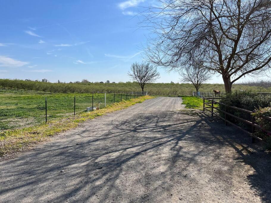 Adorable 1 Bedroom With Pool, And Horse Arena Oakdale Exterior foto